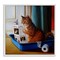 Stupell Industries Litter Box Reading Funny Cat Framed Giclee Art